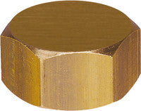 Female brass plug (with gasket)
