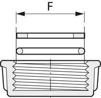 Gasket for blanking caps with OR