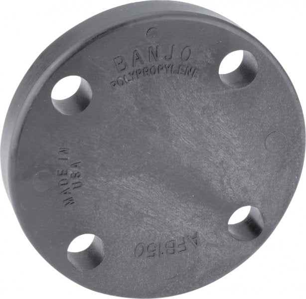 Banjo ANSI 150 Blind Flange-9901-AFB300