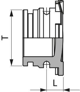 BLANK CAP T6M