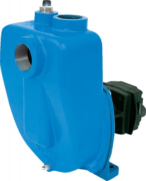 Hypro 9300SP Series Pump-9305C-HM3C-BSP