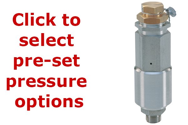 Pratissoli SX2 Safety Relief Valve - AISI 316-SX2