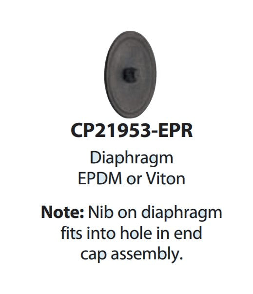Diaphragms - Nozzle Body Check Valve