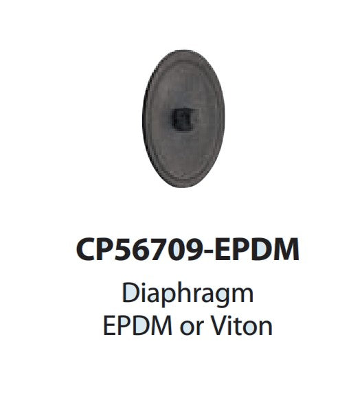 Diaphragms - Nozzle Body Check Valve