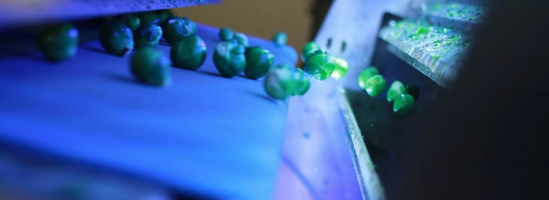 optical sorting