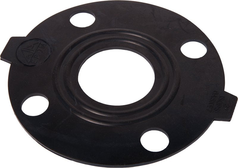 Banjo ANSI 150 Flange Gasket-9901-AF150G