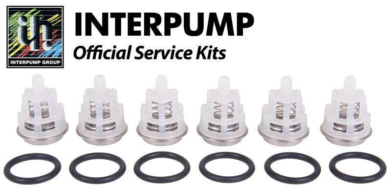 Interpump Service/Repair Kit 150-KIT150