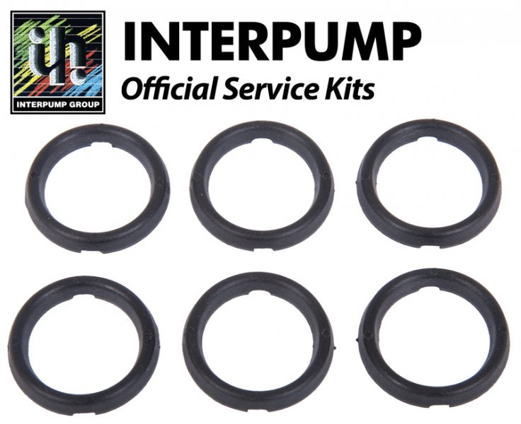 Interpump Service/Repair Kit 21-KIT21