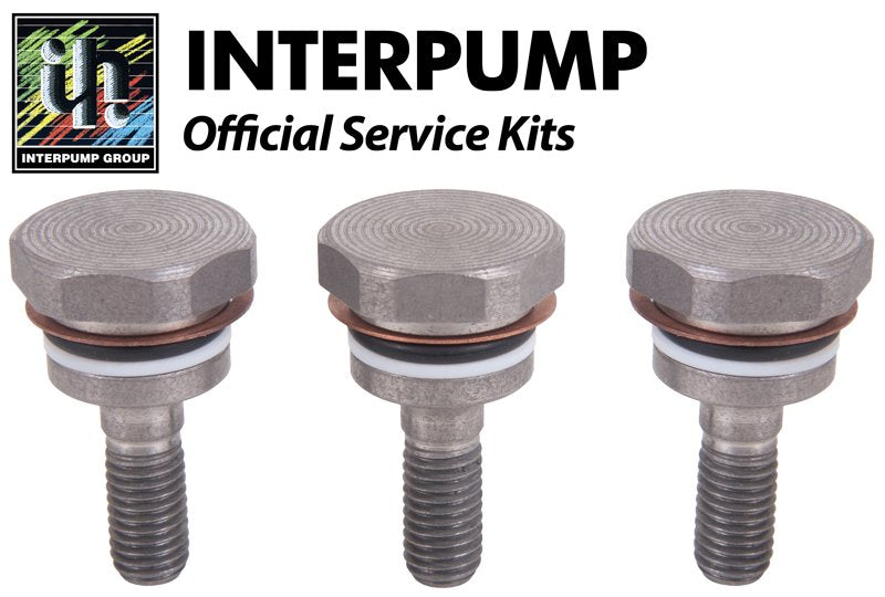 Interpump Service/Repair Kit 74-KIT74