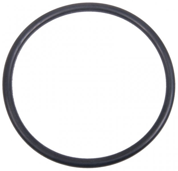 O Ring-9901-LS125G