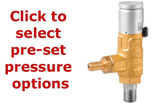 Pratissoli S1503 Certified Safety Relief Valve-S1503