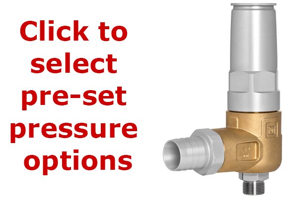 Pratissoli S455 Certified Safety Relief Valve-S455